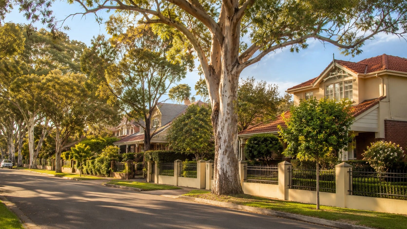Pest control in Concord, Sydney Inner West - leafy tree-lined street