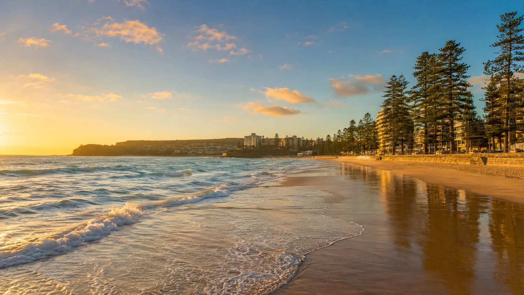Pest control in Manly, Sydney Northern Beaches - Manly Beach and Norfolk pines