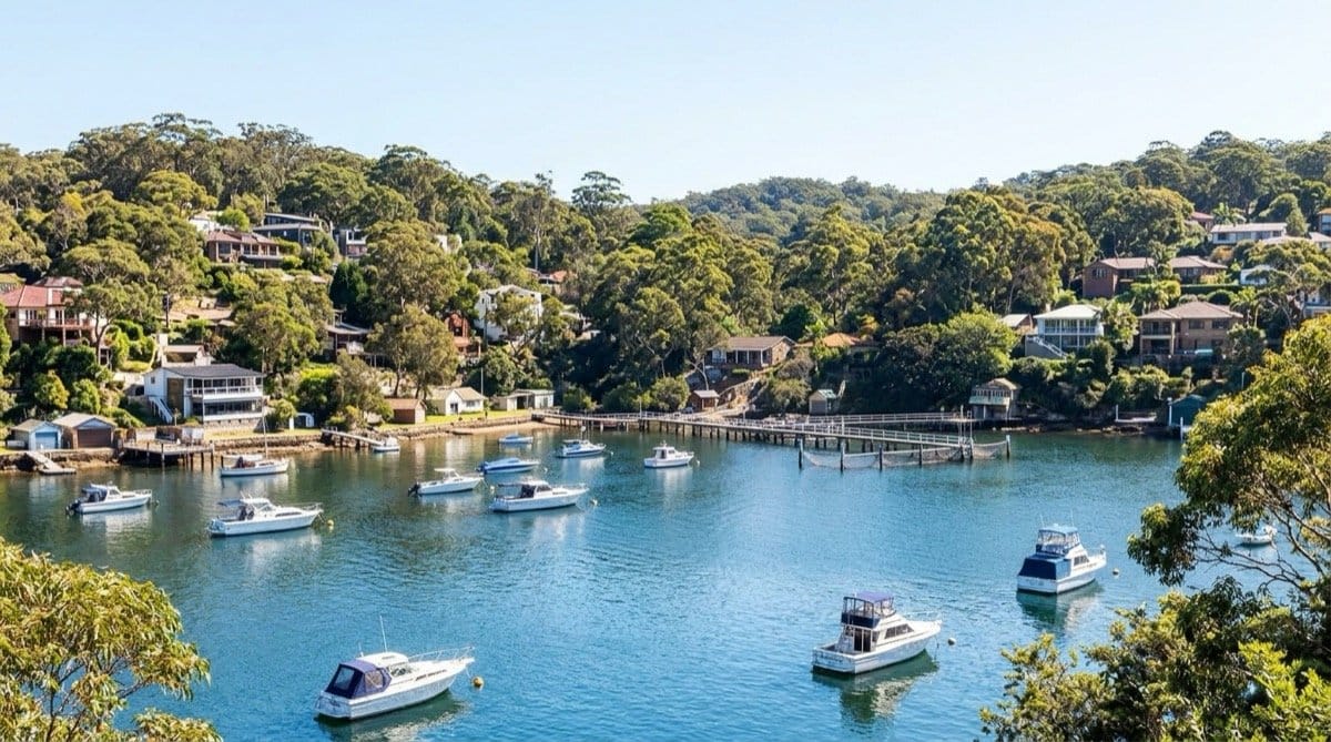 Pest control in Gymea Bay by Wallace Pest Solutions