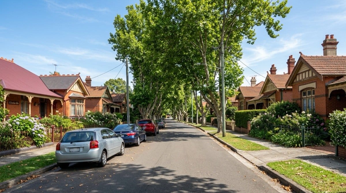 Pest control in Croydon by Wallace Pest Solutions