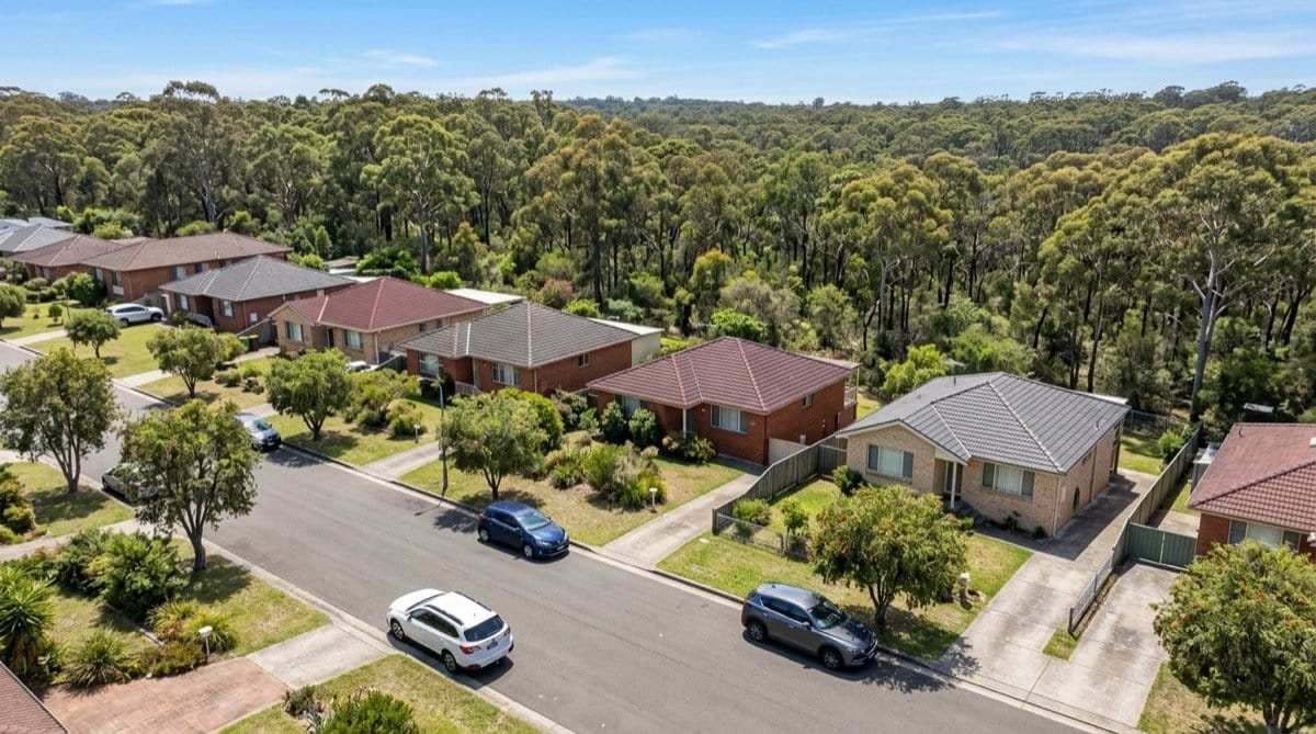 Pest control in Engadine, Sydney