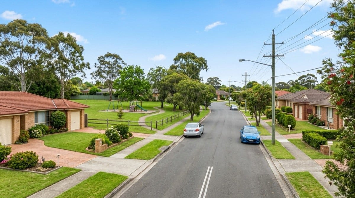 Pest control in Kings Langley NSW